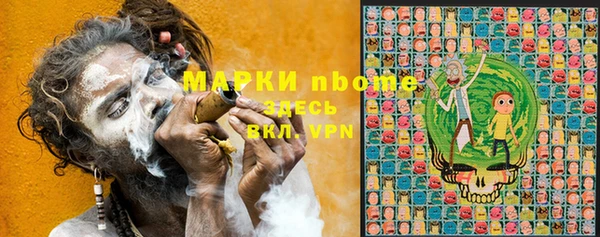 ПСИЛОЦИБИНОВЫЕ ГРИБЫ Инта