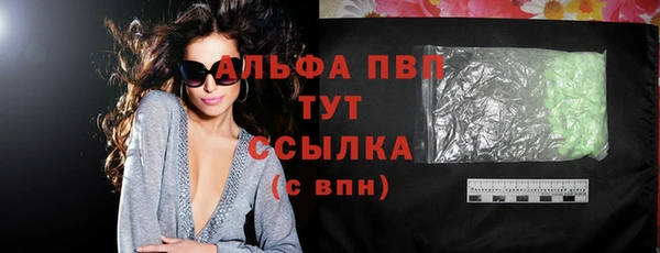 ПСИЛОЦИБИНОВЫЕ ГРИБЫ Инта
