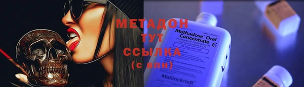 ПСИЛОЦИБИНОВЫЕ ГРИБЫ Инта