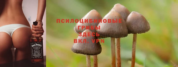 ПСИЛОЦИБИНОВЫЕ ГРИБЫ Инта