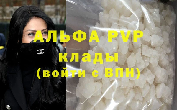 ПСИЛОЦИБИНОВЫЕ ГРИБЫ Инта