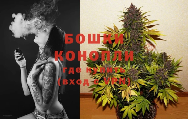 ПСИЛОЦИБИНОВЫЕ ГРИБЫ Инта