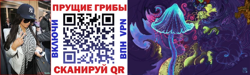 Галлюциногенные грибы мухоморы  shop какой сайт  Инза 